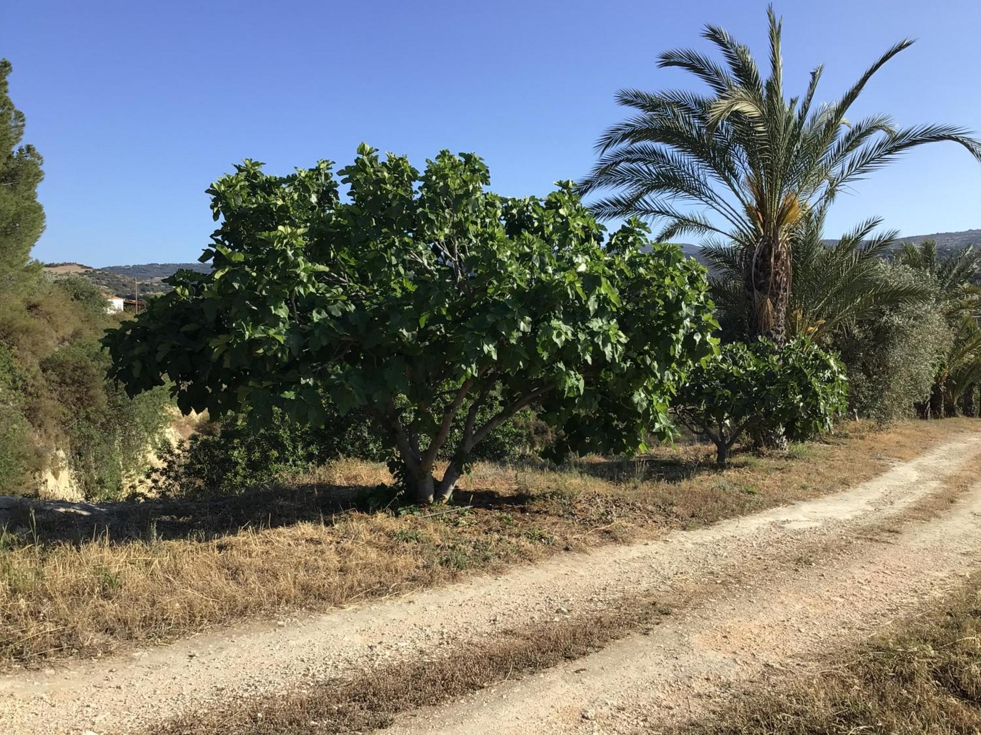 Pervolaris Cottages 1 Goudhi Dış mekan fotoğraf