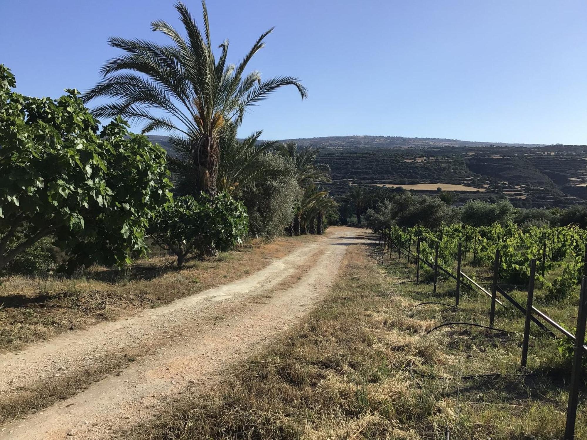 Pervolaris Cottages 1 Goudhi Dış mekan fotoğraf