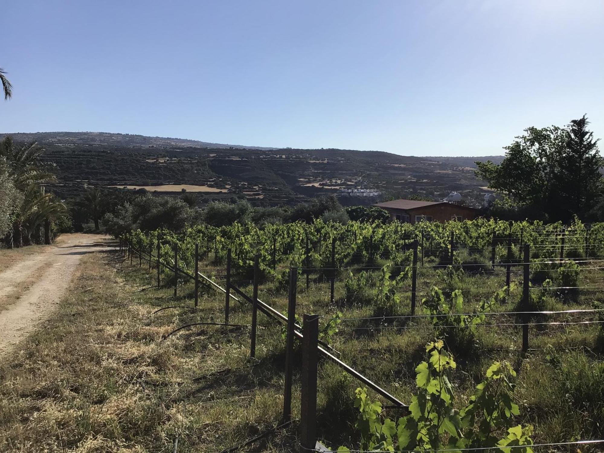 Pervolaris Cottages 1 Goudhi Dış mekan fotoğraf