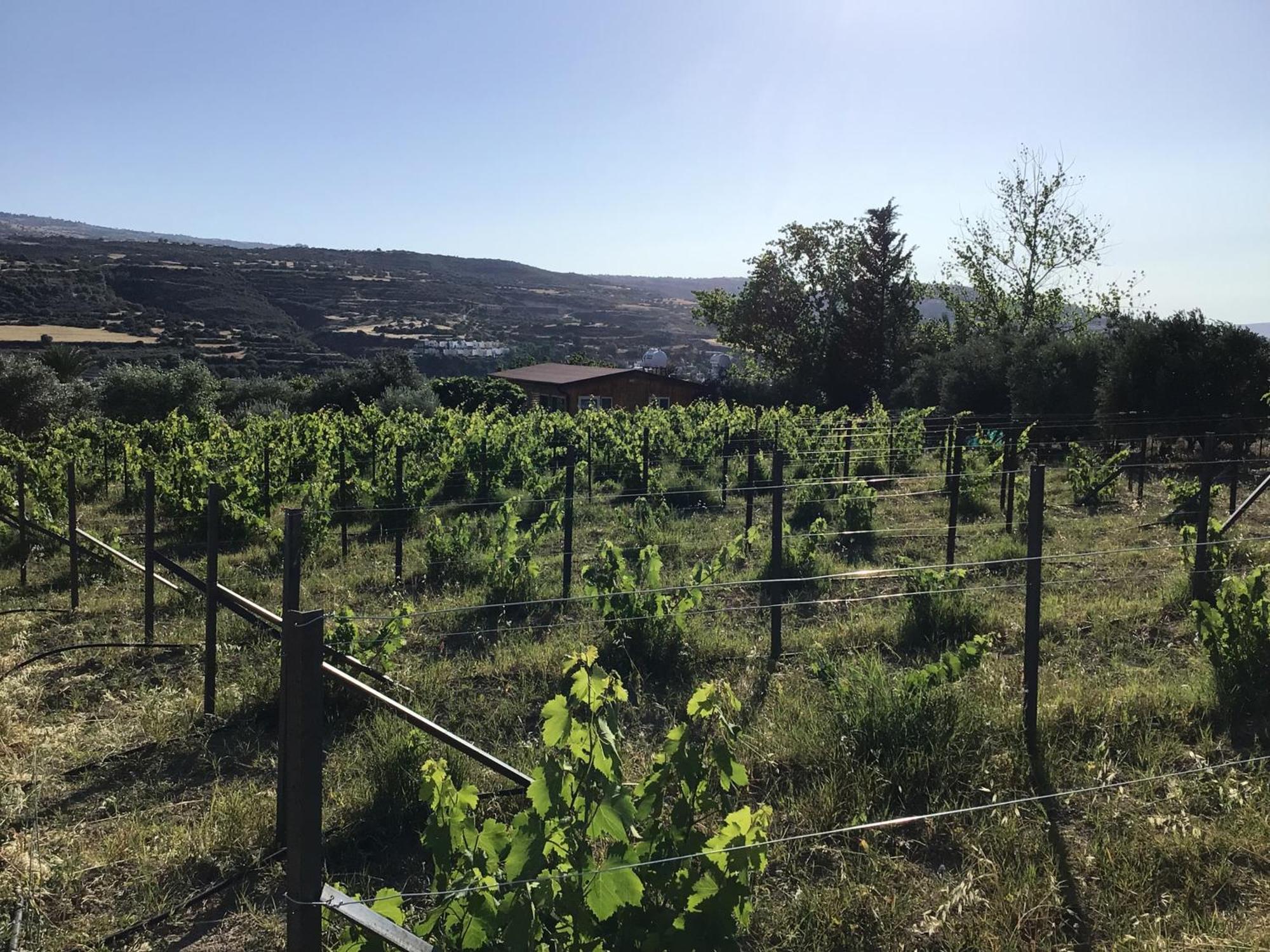 Pervolaris Cottages 1 Goudhi Dış mekan fotoğraf