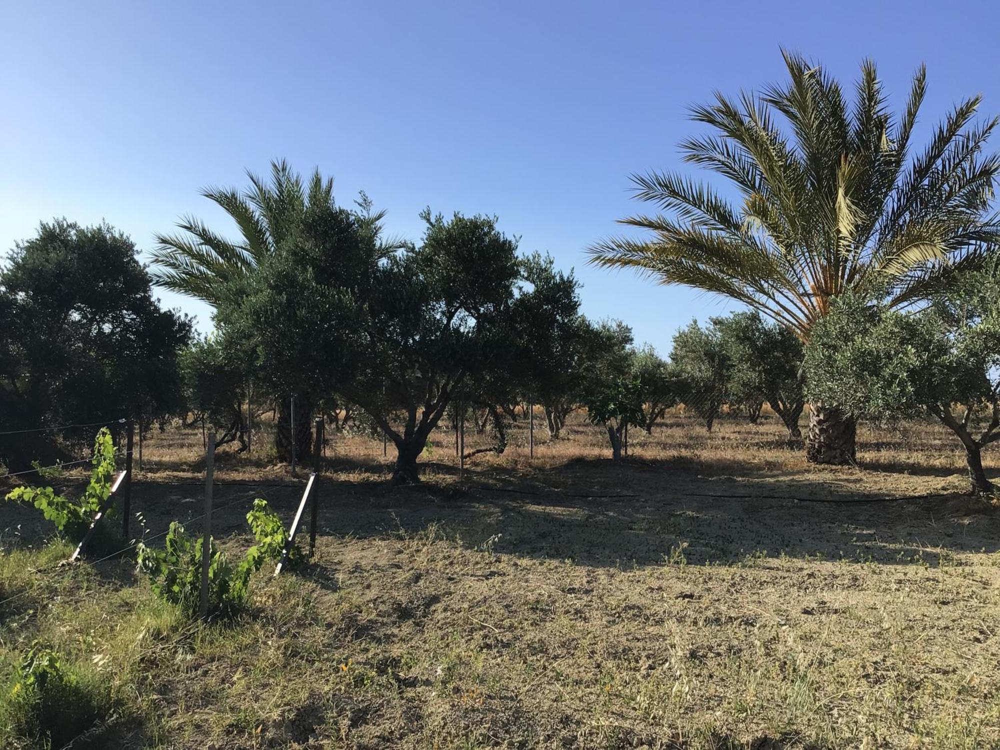 Pervolaris Cottages 1 Goudhi Dış mekan fotoğraf